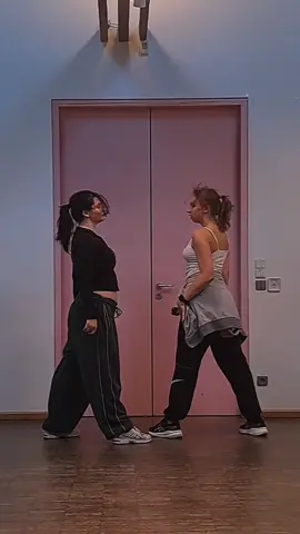 Ponyy with my bae Han <3 dc: MonkeyChen  #pony #magicmike #dance #fyp #dancefyp #ponydance #ginuwine #choreography #dancer #duo