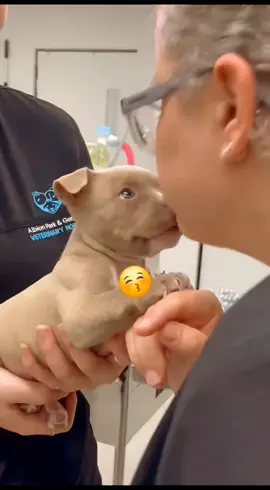 Forever grateful, my dog loves me.🥰  #dog #pet #baby #Love #lovestory #bestfriend #cute #dogsofttiktok #foryou #usa🇺🇸 