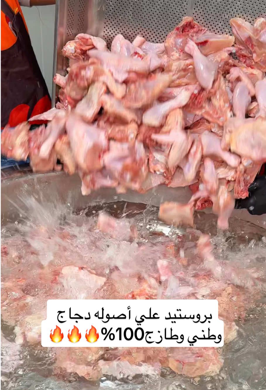 بروستيد علي أصوله دجاج وطني وطازج100%🔥🔥🔥 الطعم اللي هيبهرك والقرمشه جباااره والسعر حكااايه😉🔥🔥🔥🔥🔥 أوعي تنسي عرض عيد ميلاد بلالم النص دجاجه بروستيد ومعاها البطاطس والخبز والكولسلو والتوم والكاتشب ب15ريااااااال بس😍🔥🔥🔥🔥🔥🔥🔥🔥🔥🔥 #تشكين_بلالم 
