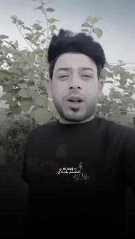 يستغلونك إذا كلبك حنين
