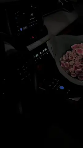 #CapCut #axplore #fyp #ورد 