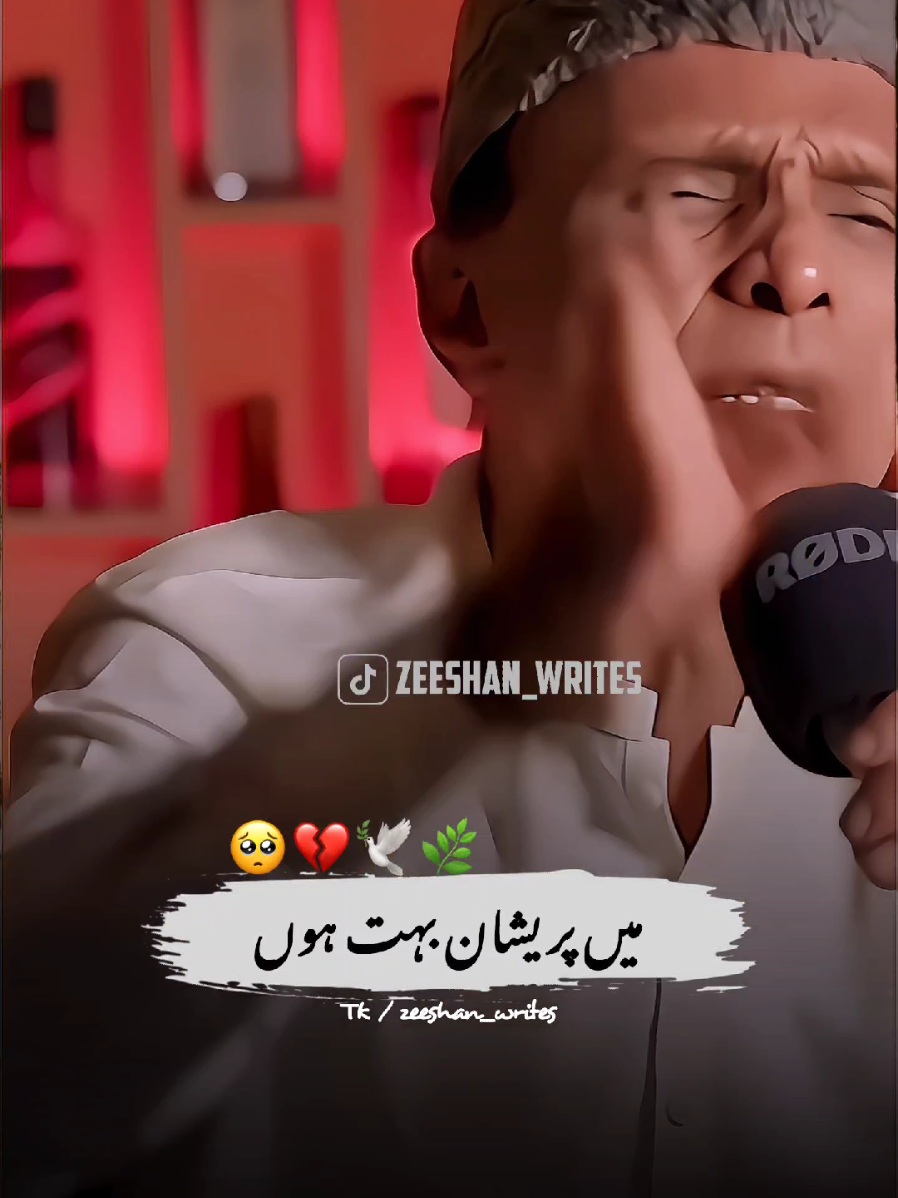 Dear TikTok Team Don't Underview My Videos~🥺💔#poetry #foryou #zeeshan_writes #1millionaudition #barkatuzmi 