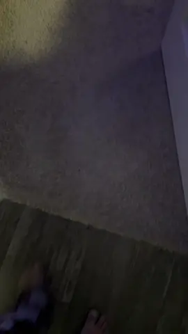 #halloween #halloweendecor #creatorsearchinsights #falldealsforyou #cybermonday 