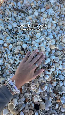nothing like the sound of shells 😍  ring: @Kaitmariedesignsco ✨ #shelling #floridashells #shelllover #seashells #floridashelling 
