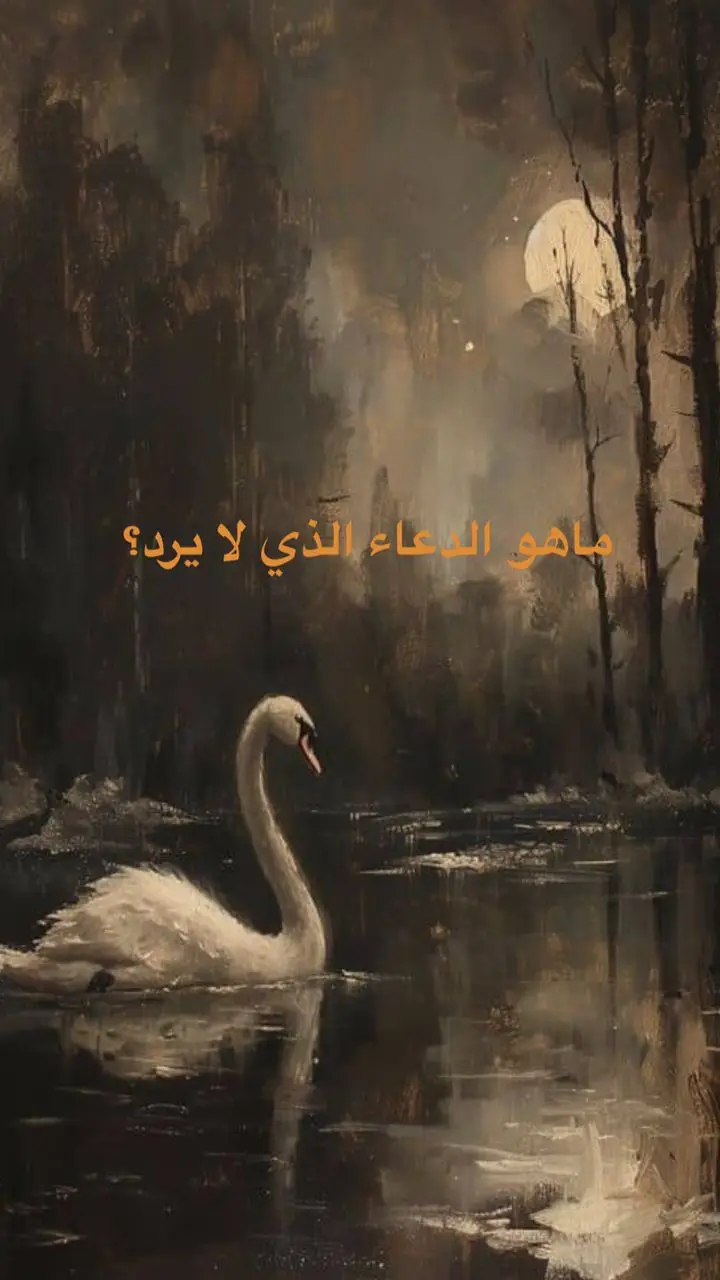 #صدقه_جاريه_لجميع_اموات_المسلمين #قران_كريم_ارح_سمعك_وقلبك♡ # #دعاء 