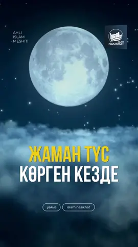 #лайки 