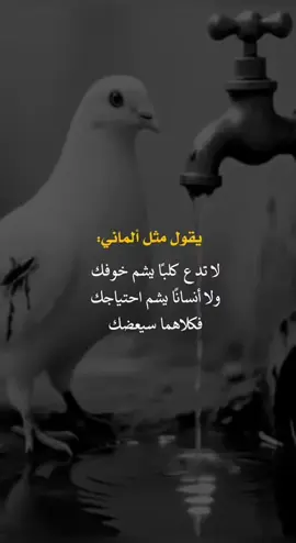 يقول  مثل  ألماني#fyp #you #اعادة_النشر #اكسبلورexplore❥🕊 
