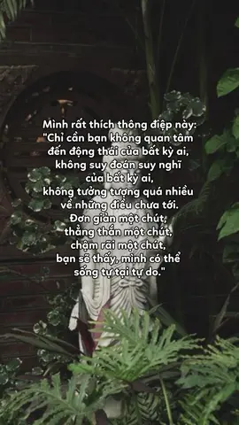 Nam Mô A Di Đà Phật #xuhuong #phatdaovothuong #niemphat #vongtramtienhuong #phatphap 