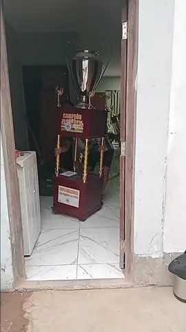 verdao campeón 🟢⚪️🟢