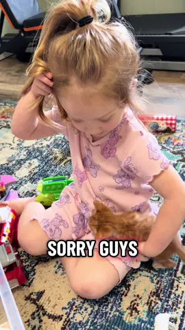 If this isn’t the sweetest thing you’ve seen all day I don’t know what is 🥲🥲😍🫶🏼#kittensoftiktok #fyp #toddlersoftiktok #catsoftiktok 