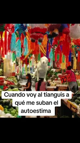 cuando me dicen pasele güerita #CapCut #happy #funny #fyp #paratiiiiiiiiiiiiiiiiiiiiiiiiiiiiiii 