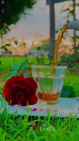 #عباراتكم_الفخمه📿📌 #قونيا_تركيا #قونيا_علاءالدين #تابعوني_انستا_ml_692🥀 #تصويري📷قونية 