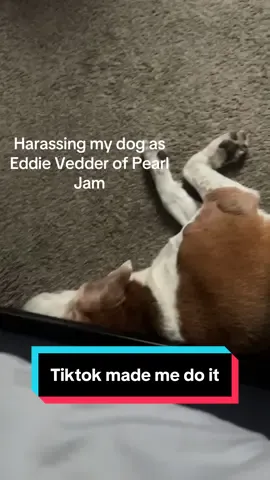 Thank you so much for all the love you’re showing me on my harassing my dog series. I love singing and doing an impression for you- making you smile, laugh, or take a moment to enjoy some songs. This is what I do around my house every day and I never expected I’d go viral for this. If you enjoy my impressions, you’re going to love me as me! Go check out my new song “in my eyes” on your favorite streaming platform now! #h#harassingmydogf#funnyvideo