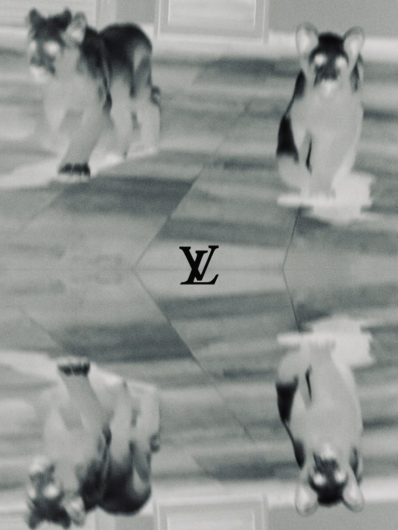 LV sandals #louisvuitton #lv #edit #fyp