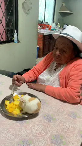 #cuyconpapas #viraltiktok 