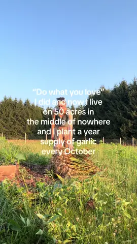 garlic is planted and now the cover crops + fall garden is going in 🌱  #hobbyfarm #homestead #naturalminded #gardentok #selfsufficiency 