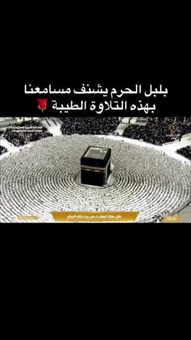 الركعة الثانية من عشائية اليوم #اذكروا_الله #islam #سبحان_الله_وبحمده_سبحان_الله_العظيم #الشيخ_عبدالله_الجهني #تلاوة_خاشعة 