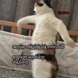 ဆဲနည်းတွေပါ😅#fypシ゚ #foryou #crdစာသား #fffffffffffyyyyyyyyyyypppppppppppp 