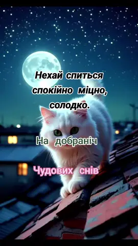#доброїночі🌌🌌🌌✨🌛  #на_добраніч_мирних_снів❤️❤️❤️ 