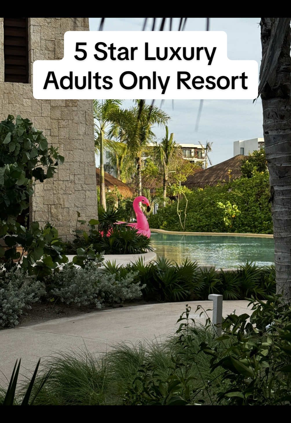 Do you really know the difference between all the adults only resorts out there? Be careful, they aren’t all the same and definitely offer different levels of quality, food and service. Ask me how to choose the right one. #thetropicaltravelers #tiktoktravelagent #luxurytravel #adultsonlyresort #secretsplayablanca 