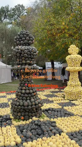 Fands leider zu teuer 😔 #schlosskaltenberg #kürbisausstellung #herbst #bayern #date 