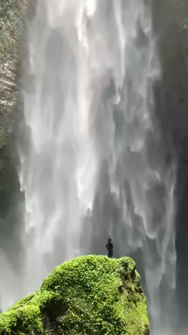 That place stole my heartbeat and I never got it back 📍air terjun kabut pelangi  #fyppppppppppppppppppppppp #fyp #kabutpelangiwaterfall #lumajang #airterjun 