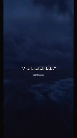 #Aarka_Hargaiza🎶🎶kampala_adaa_ibaday #somalitiktok #viralvideos #foryoupage #fypシ゚ 
