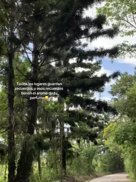 #fyp #parati #paisaje #naturaleza 