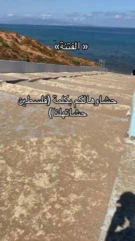 #فلسطين🇵🇸 #الجزائر🇩🇿 