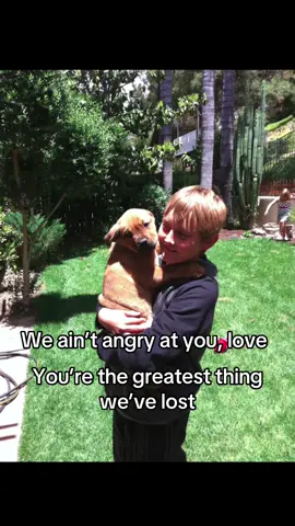 I miss my dog #dog #weaintangryatyoulove #grief #dogsoftiktok #loss 