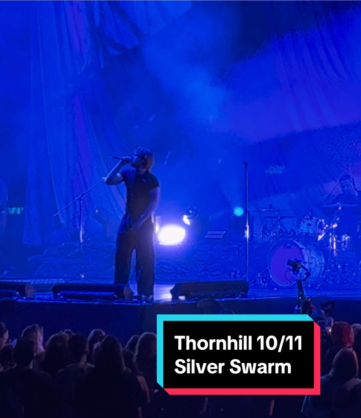 Silver Swarm by Thornhill  #thornhill #eveninarcadiatour #sleeptoken @Thornhill 
