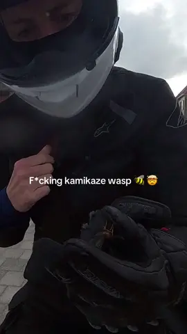 I’m still struggling to understand how it got in there! 🤯🥺 p.s. it hurt like a b*tch 😣 #bikergirl #bikelife #motolife #waspsting #bikersoftiktok 