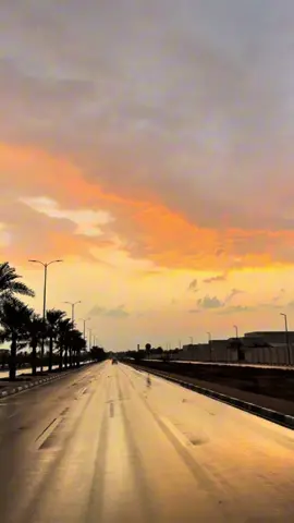 #مدينة_العين #explore #alain #viral #video 