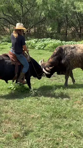 Oh man gotta get away from the bear!