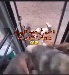 هما بوندا وأنا وحدي 🧏🏻‍♀️🤣#بنى_وليد_العزه_والكرامة_والمجد 