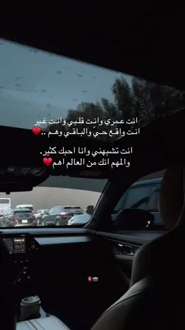 #انت_عمري_وانت_قلبي_وانت_غير #اكسبلور #فصلا #لايك_متابعه_اكسبلور #تصويري_احترافي_الاجواء👌🏻🕊😴 