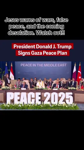 Any lasting peace agreement involving Israel is viewed as prophetically significant.#fyyyyyyyyyyyyyyyy #foryoupage #middleeast 