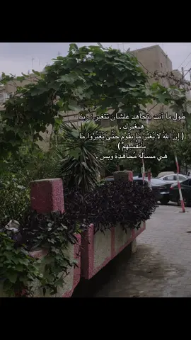 #allah #اكتب_شي_توجر_عليه #قران_كريم #المنشاوي #fy 