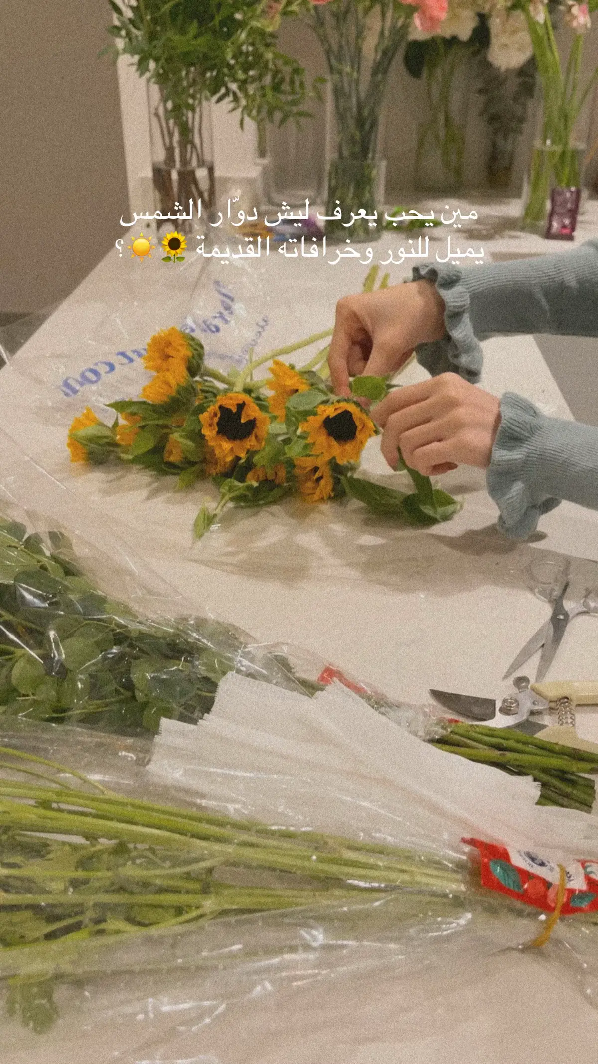 #sunflower #دوار_الشمس #ورد #flowers #باقة_ورد 