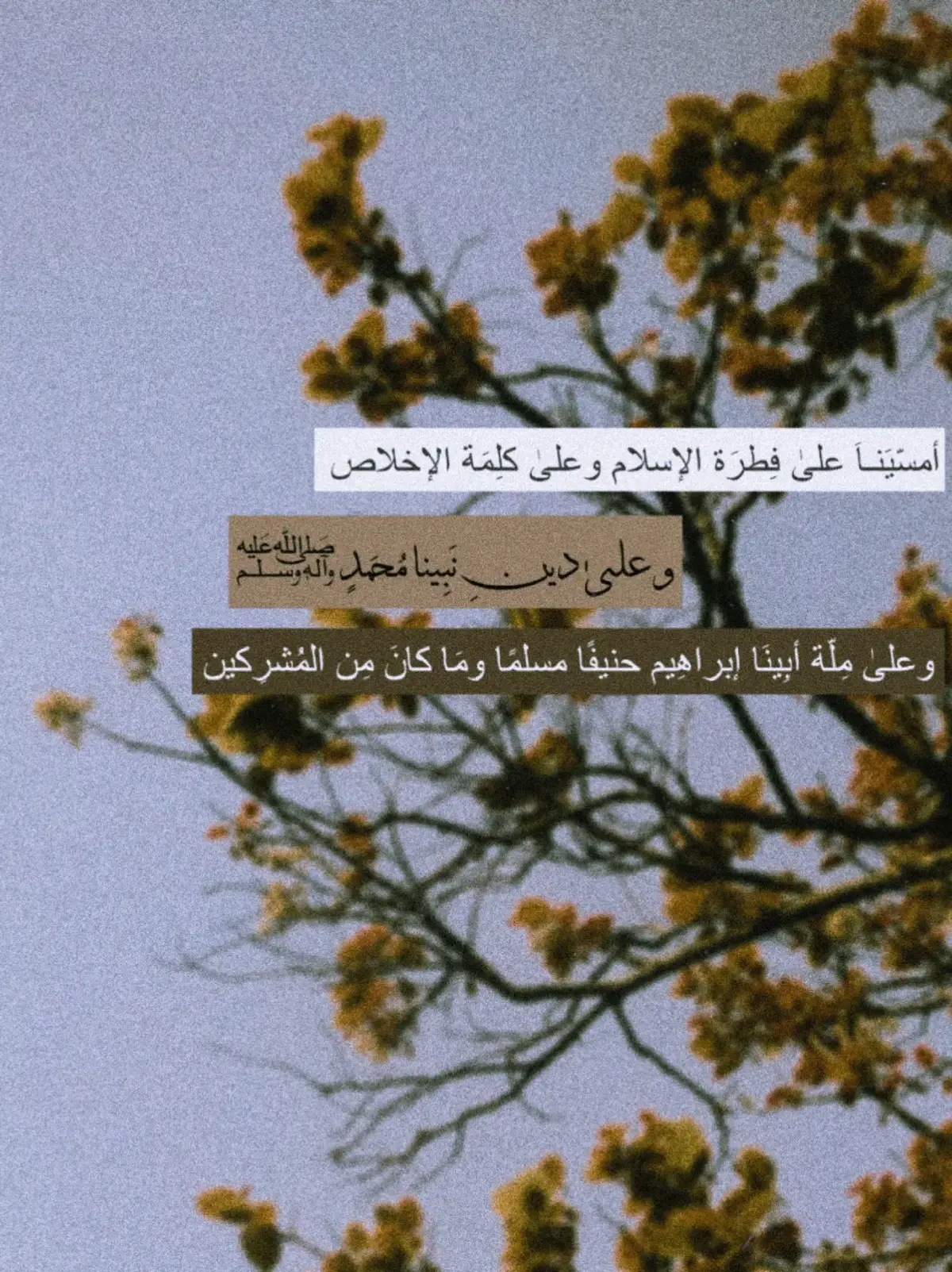 اللهم صلِّ وسلم وبارك علۍ نبينا مُحمد #توحيد_حق_اللّٰه_على_العباد 