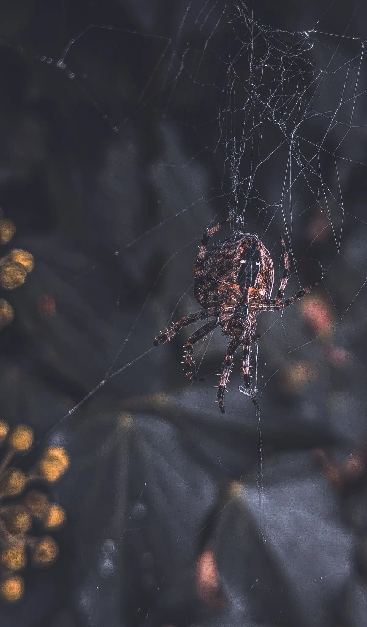 Neith the Egyptian Goddess of creation wove the entire world into being in her loom the “spinner & weaver of destiny”. Much like spiders consume & reweave its own web, so does Neith. The web represents the interconnectedness of all things & the physical & spiritual world. We are being rewoven 🕷️ 🕸️ 🖤 #loomoftime #rewoven #neith