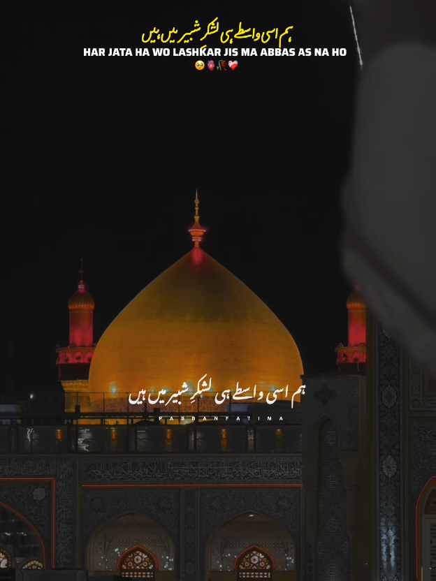 ہار جاتا ہے وہ لشکر جس میں عباس نہ ہو 💯✨🌸🥰#yaali #shiastatus #foyoupag #ali_walihu #growmyaccount 