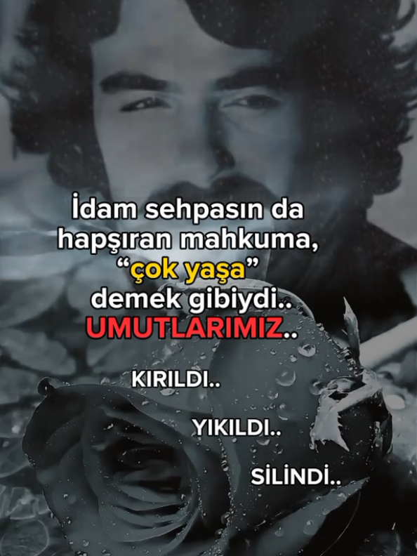 #ferditayfur #fytiktok #fytpシ #fypviraltiktok🖤シ゚☆♡ #fyppppppppppppppppppppppp 