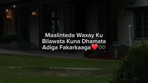 love sarr 💘🥹 #viral_video #fpy #foryoupage #somalitiktok #fpy_tiktok_viral 