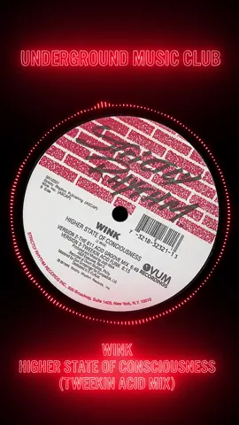 Wink – Higher State Of Consciousness (Tweekin Acid Funk) - 1995 Join To The Club ⬇️ @underground_music_club #housemusic #electronicmusic #fyp #clubbing #undergroundmusic 