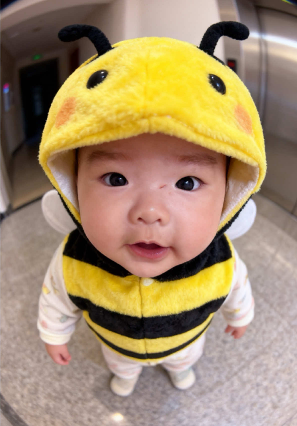 🐝 🐝 📸#embedangyeu #embedangyeu #xingtu #xuhuong #beong 