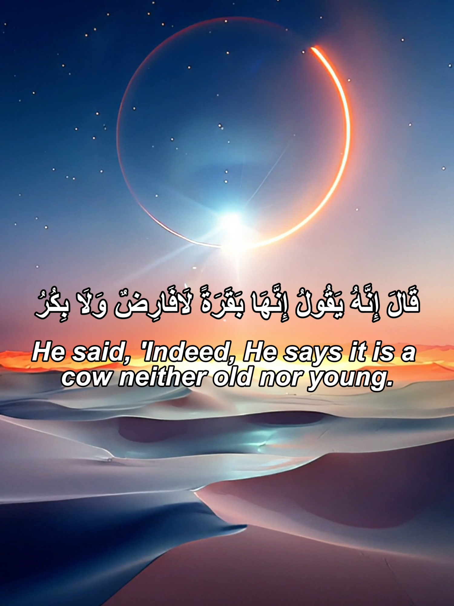 surah al baqarah(hafiz ahmad)#foryoupage❤️❤️ #quranvoiceintenational #VIRAL #tiktokuk #FYP #foryoupageofficial #UNITEDKIGDOM #englishtarjumma❤️❤ #surahalbaqarah #QuranReflection #IslamicContent #IslamForYou #LearnQuran #BEAUTIFULQURAN #TILAWAT #BEAUTIFUL