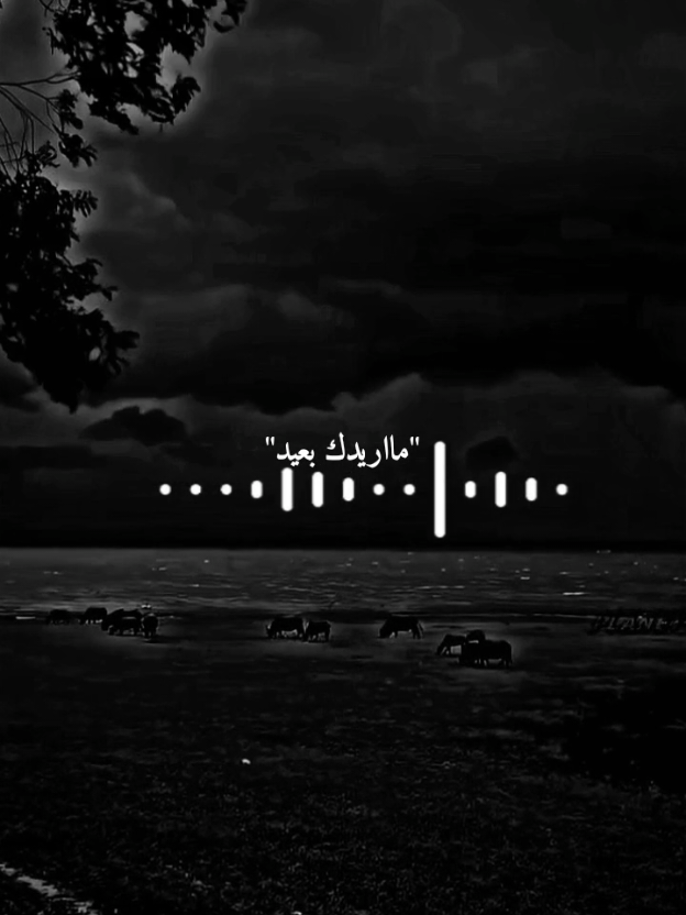 اريدك يمي مااريدك بعيد؟؟.😔🖤#اغاني_عراقيه #اغاني #علي_العيساوي 