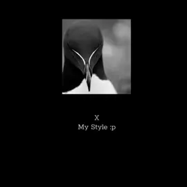 Maaan wtf #digitalartist#fyp #auk#biggestbird