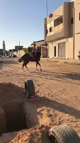 #خيل_وخياله🐎 